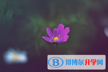 2021年延安中考升學錄取比例