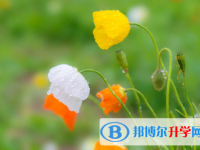 2021年延安中考網絡登錄