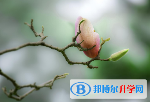 2021年延安中考調招