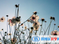 2021年延安中考統考成績