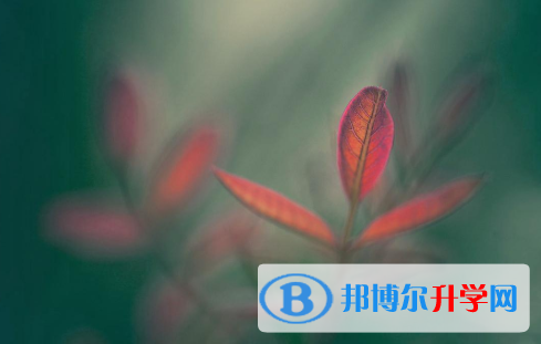 2021年延安中考網(wǎng)報