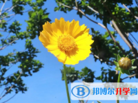 2020年南充中考志愿填報(bào)技巧