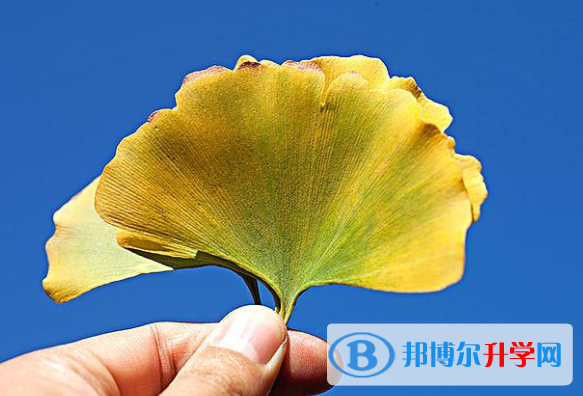 2020年南充中考沒(méi)考上可以復(fù)讀嗎