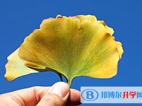 2020年南充中考沒考上可以復讀嗎