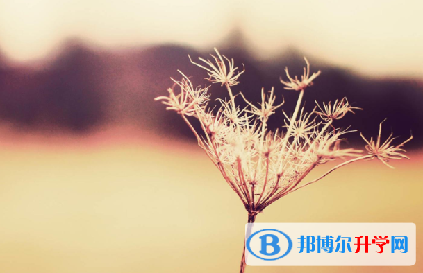 2021年延安中考網(wǎng)絡(luò)服務(wù)平臺(tái)