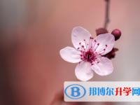 2021年延安中考網絡服務應用平臺