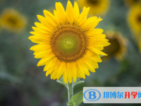2021年咸陽中考報名是哪個網(wǎng)站