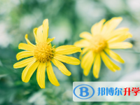 2021年延安中考網絡平臺