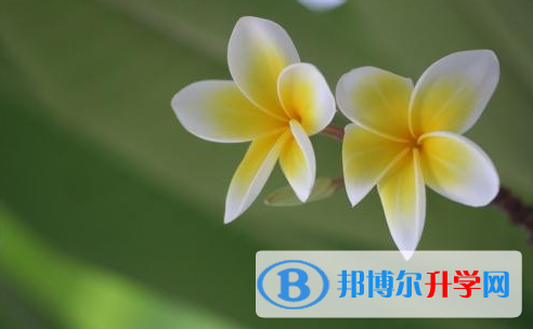 2021年延安中考網絡應用服務平臺