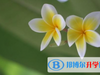 2021年延安中考網絡應用服務平臺