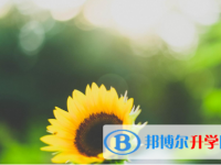 2021年延安中考網絡應用平臺