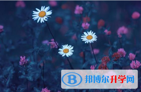 2021年延安中考網上報考信息平臺