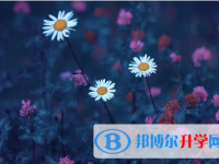2021年延安中考網上報考信息平臺