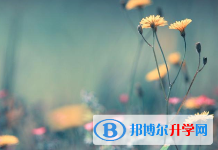 2021年延安中考網上報名模擬