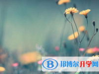 2021年延安中考網上報名模擬