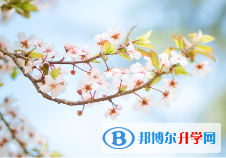 2021年延安中考網上查詢