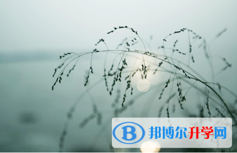 2021年延安中考線出來了嗎