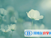 2021年延安中考線預測