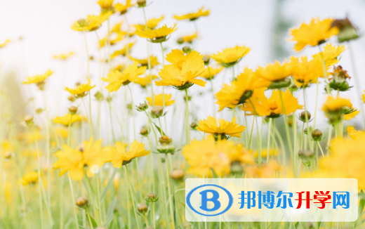 2021年延安中考信息服務(wù)平臺