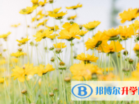 2021年延安中考信息服務平臺