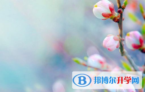 2021年延安中考預(yù)估重點線