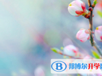 2021年延安中考預估重點線