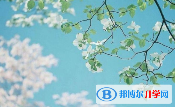2021年延安中考招生計劃查詢