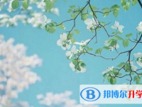 2021年延安中考招生計劃查詢
