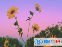 2021年咸陽中考報名網(wǎng)站登錄
