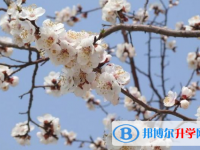 2021年延安中考招生網(wǎng)絡(luò)應(yīng)用服務(wù)平臺