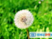 2021年咸陽中考報名網(wǎng)站是什么