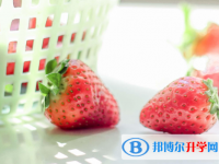 2021年咸陽中考網(wǎng)絡應用服務平臺登錄