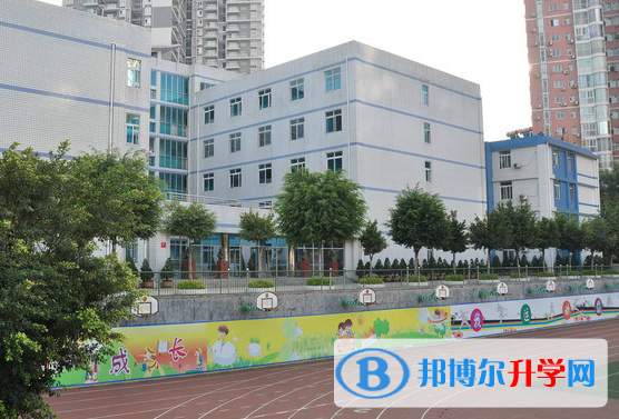 攀枝花市實驗學校網站網址 
