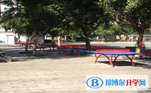 自貢市第十四中學校網站網址 