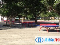 自貢市第十四中學(xué)校網(wǎng)站網(wǎng)址主頁(yè)