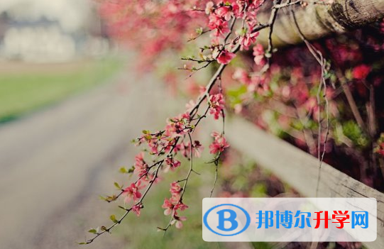 2021年延安中考志愿怎么填報(bào)