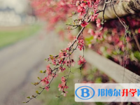 2021年延安中考志愿怎么填報