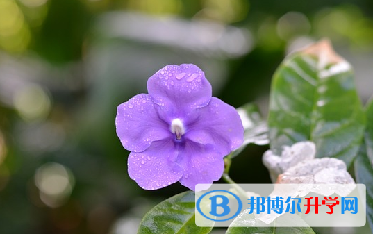 2021年延安中考重點復(fù)習(xí)資料