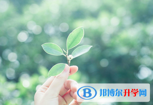 2021年咸陽中考模擬填報志愿