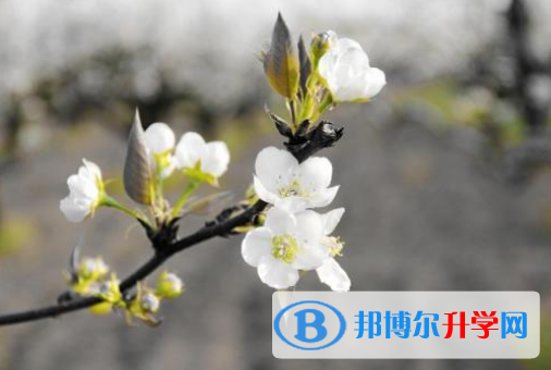 2021年延安中考重點線