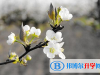 2021年延安中考重點線
