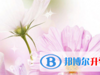 2021年涼山中考招生學校
