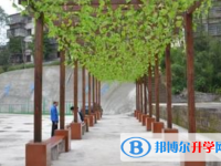 西充縣育英中學網站網址主頁