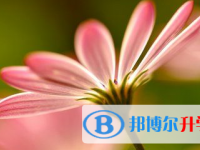 2021年涼山中考需要準備什么