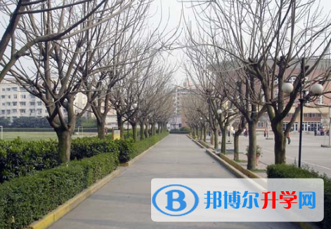 成都南洋學校2022年網站網址