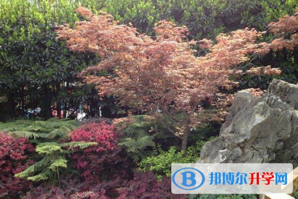 四川省成都市龍泉第二中學2021年招生簡章