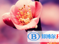 2021年涼山中考收生線(xiàn)