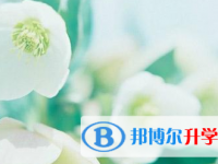 2021年涼山中考網錄取系統