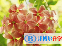2021年涼山中考成績出來了嗎