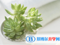 2021年延安中考重點線預測